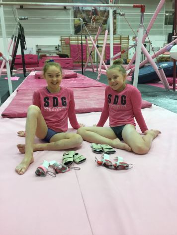 Gymnastic Express Sponsor Pink Ladies!